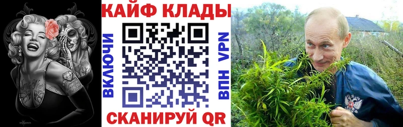 Псилоцибиновые грибы Лахденпохья