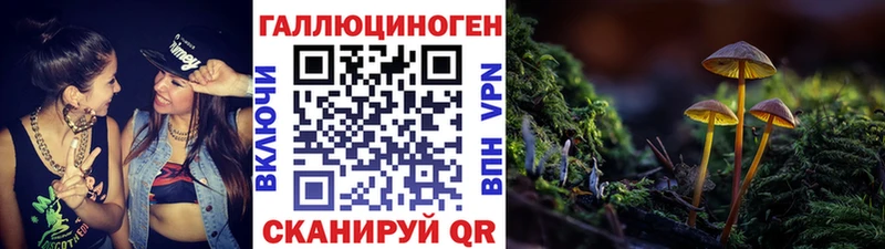Галлюциногенные грибы MAGIC MUSHROOMS  купить   Лахденпохья 
