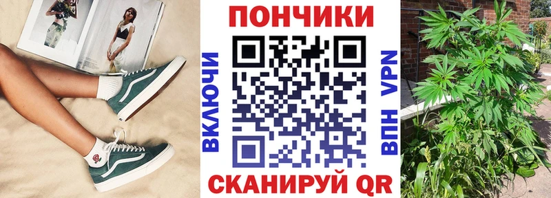 Шишки марихуана планчик Лахденпохья
